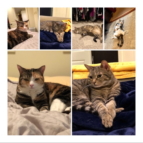 Meet Your Seller - Picture 5 of 9